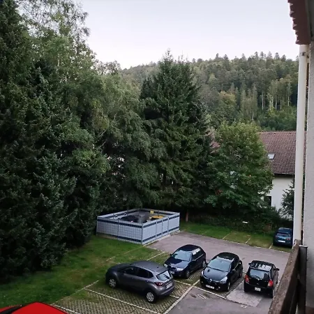 Sonnenkalb Apartment Todtmoos Exterior photo
