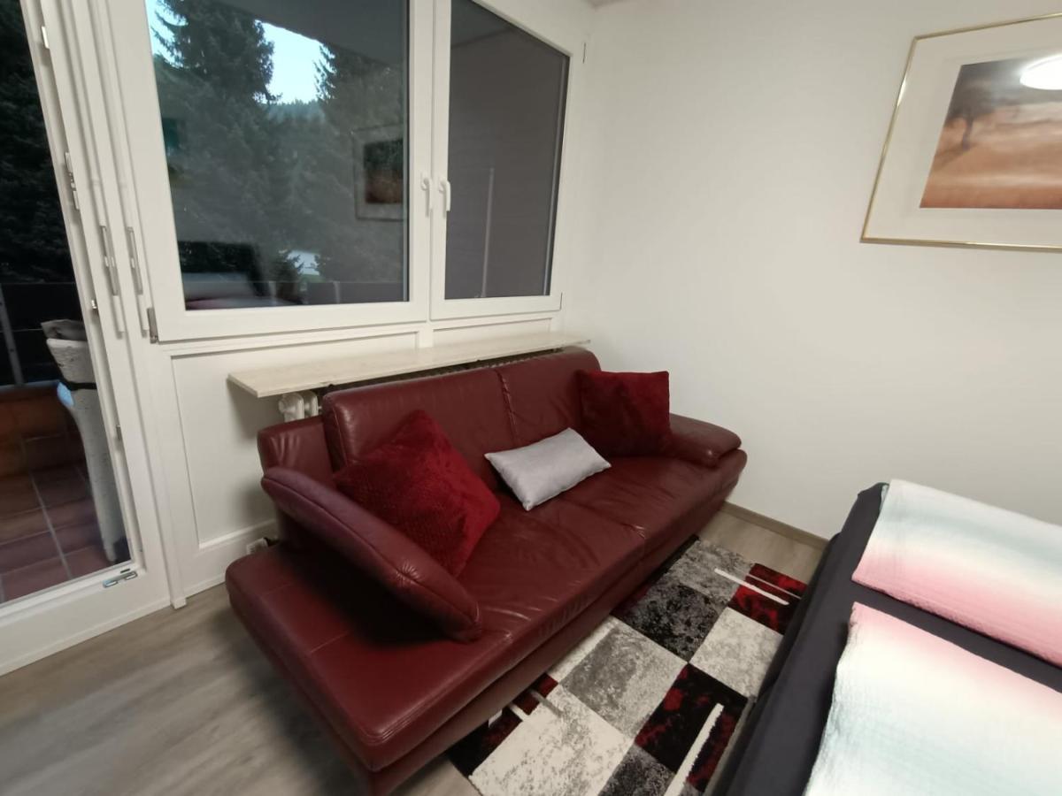 Apartment Sonnenkalb Todtmoos